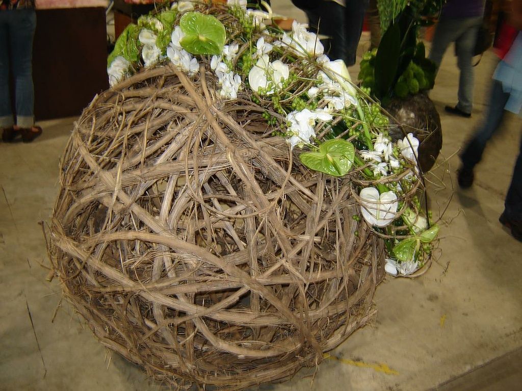 Floristik - Blumen Ackermann