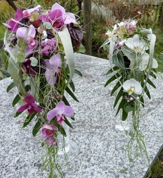 Blumen Ackermann - Mels