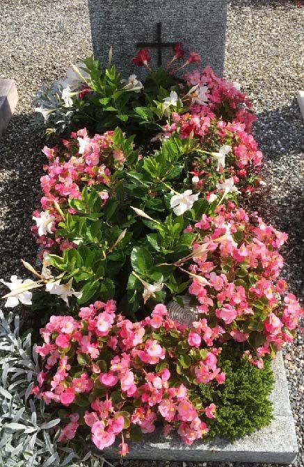 Grabunterhalt - Blumen Ackermann