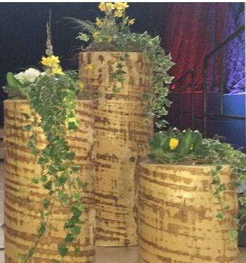 Dekorationen - Blumen Ackermann