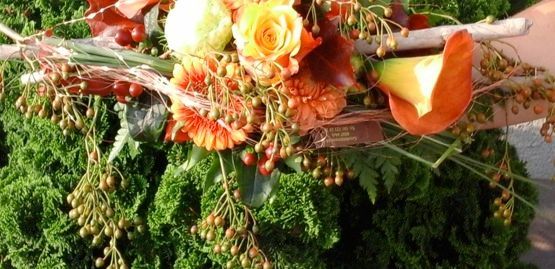 Floristik - Blumen Ackermann