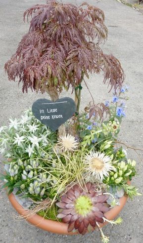 Floristik - Blumen Ackermann