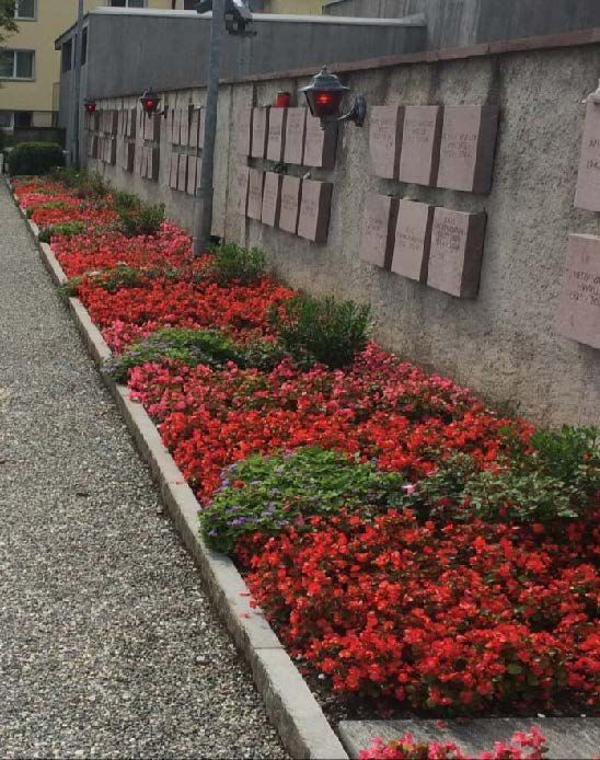 Grabunterhalt - Blumen Ackermann
