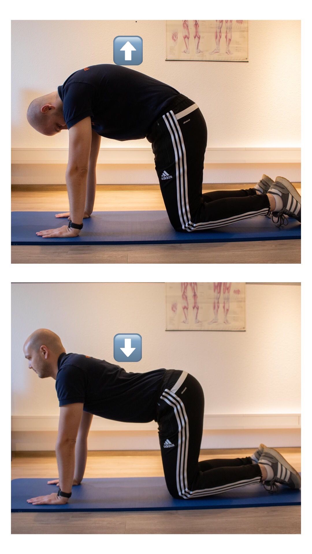 Ein Mann macht auf einer Yogamatte eine Katzendehnung.