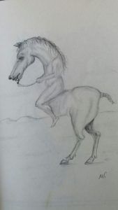 Dibujo a lápiz de un caballo encabritado, con un torso humanoide en lugar de cuello y una cabeza de caballo.