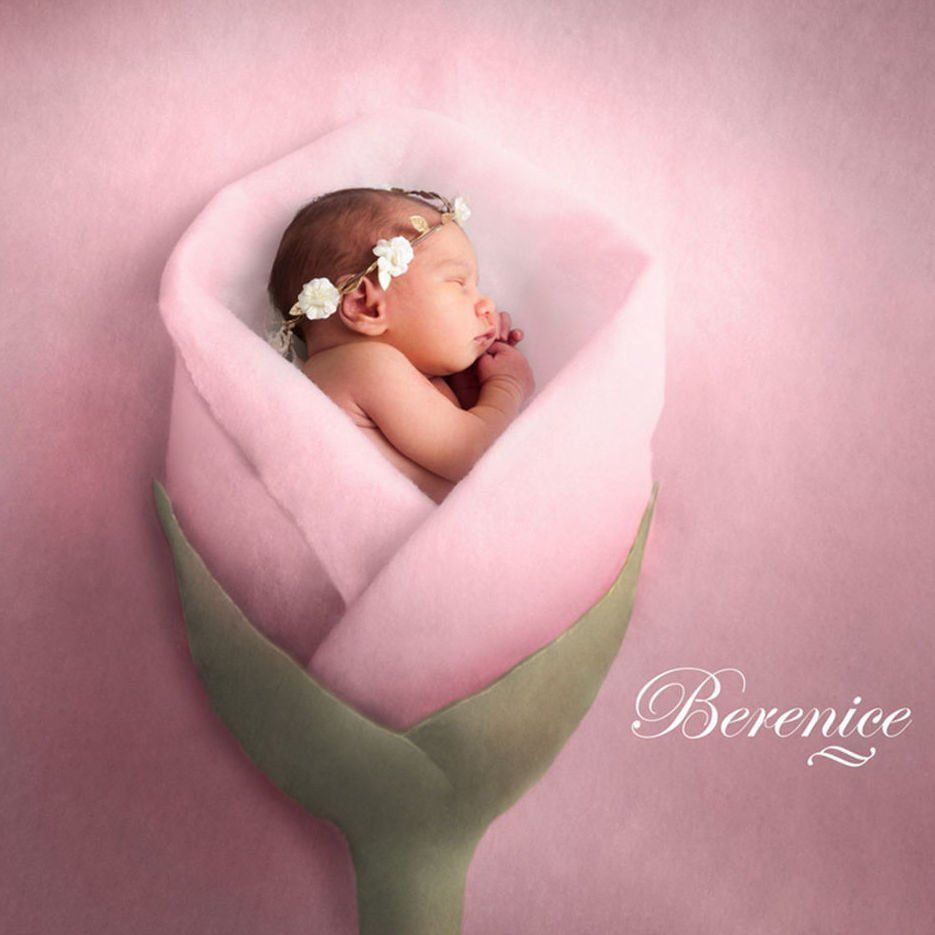 Álbum de Embarazo y Recién Nacido