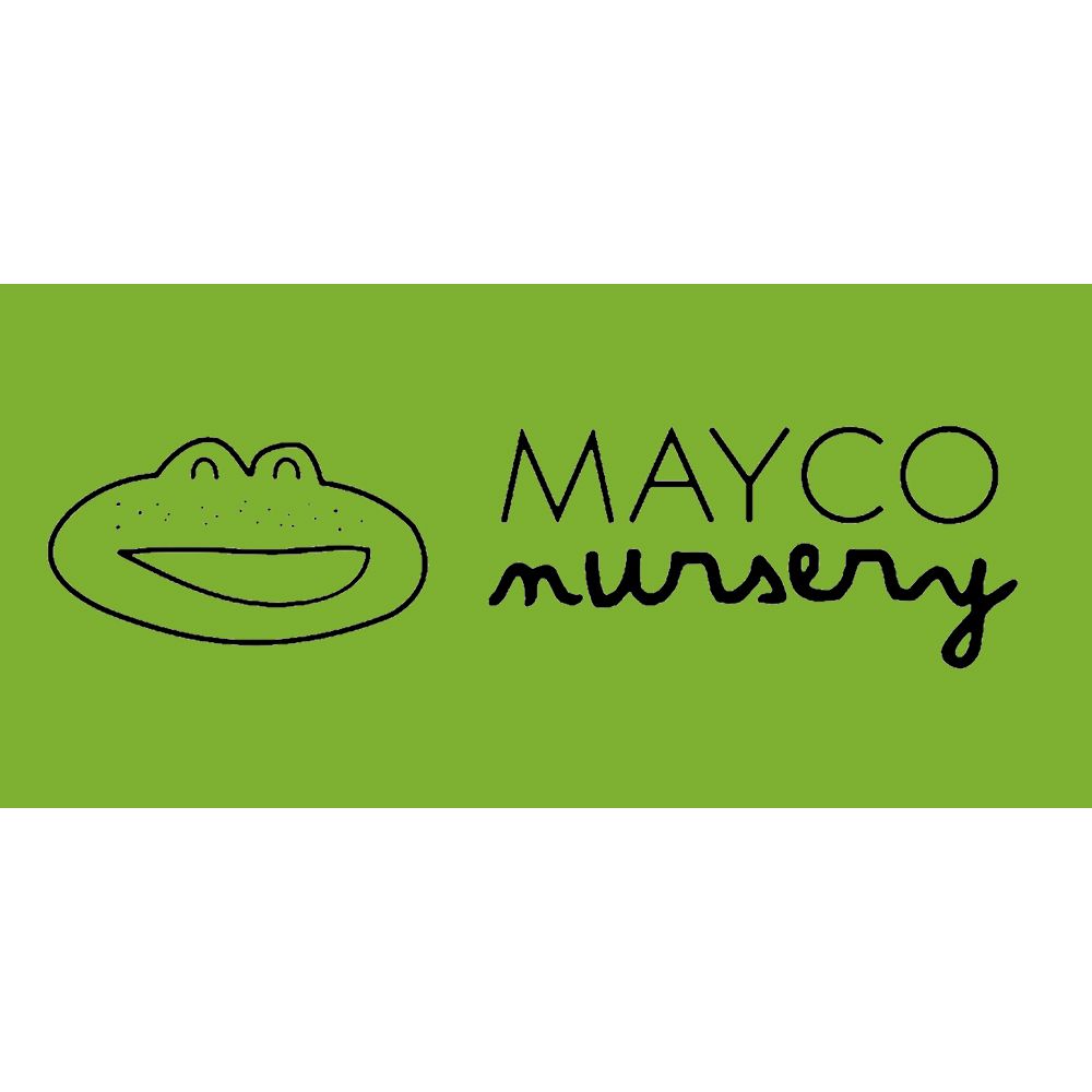 fotografo profesional orlas graduaciones tenerife hoyos foto estudio