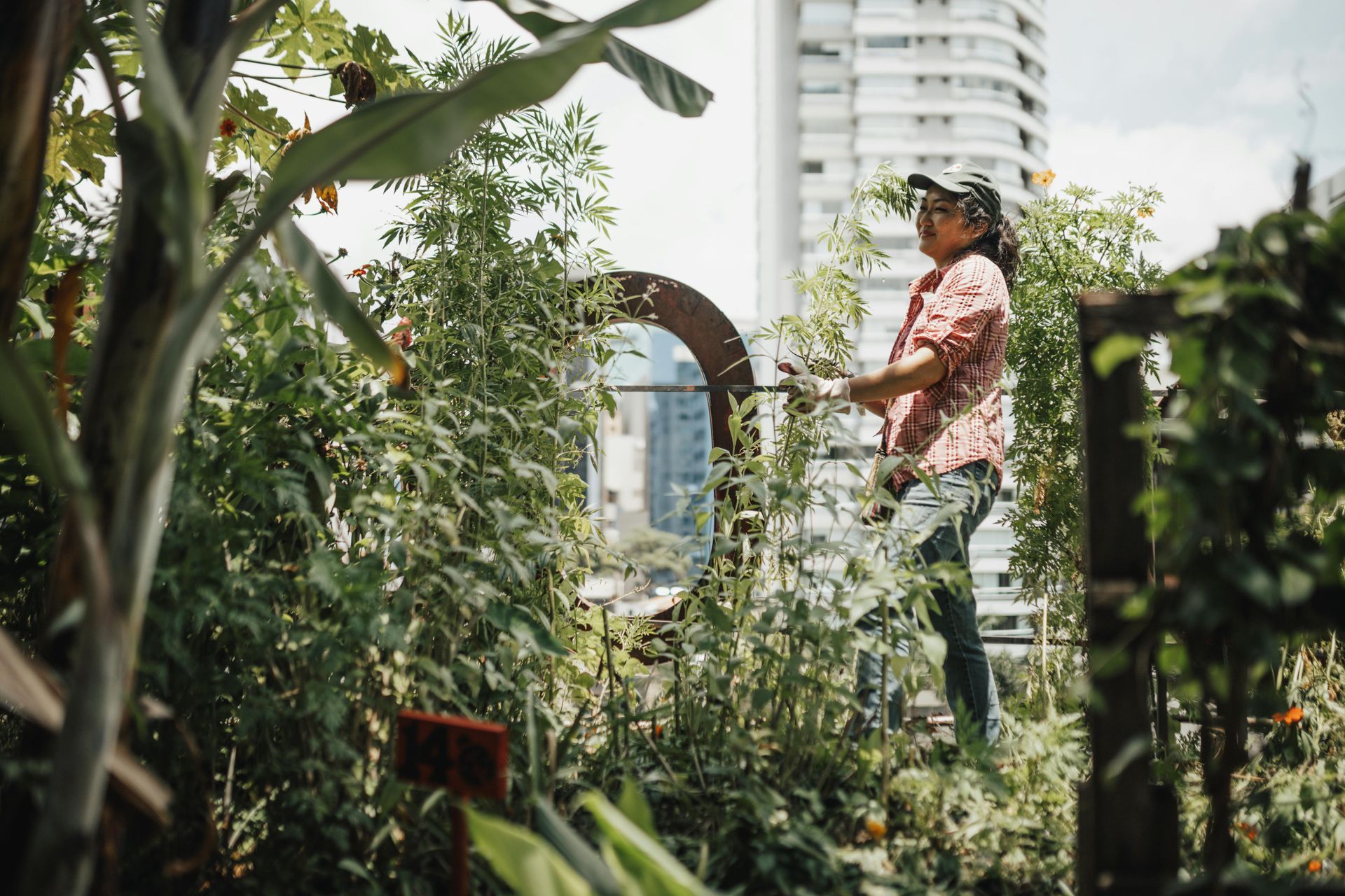 Una persona con camisa estampada y vaqueros cuida las plantas en un exuberante jardín en la azotea, con los edificios de la ciudad al fondo.