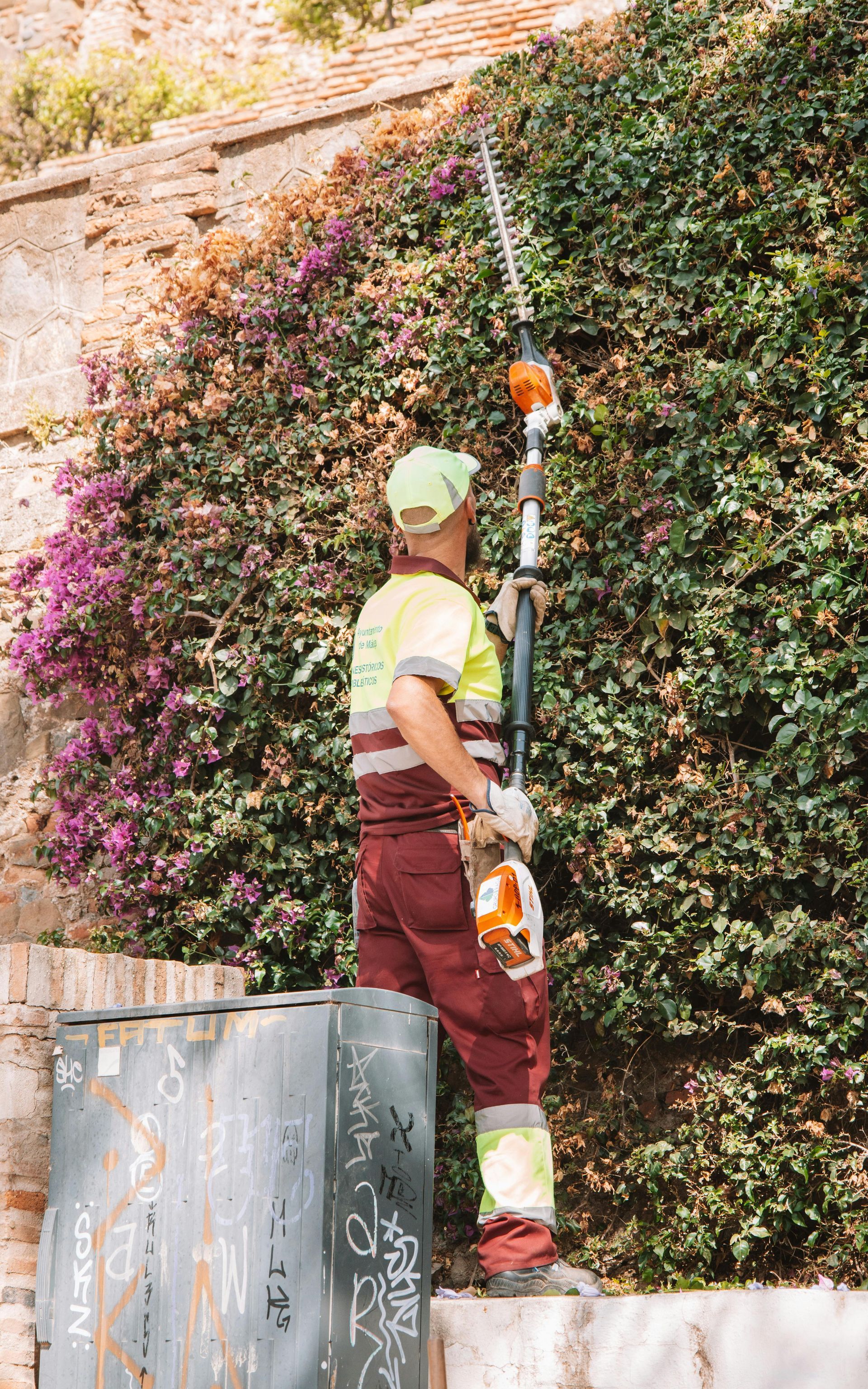 Una persona con uniforme de alta visibilidad utiliza una podadora de setos de largo alcance para podar un arbusto alto y florido.