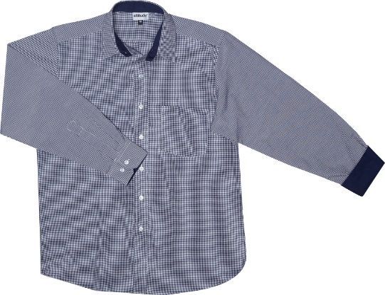 Camisa de manga comprida xadrez azul e branca com botões, gola e punhos escuros.