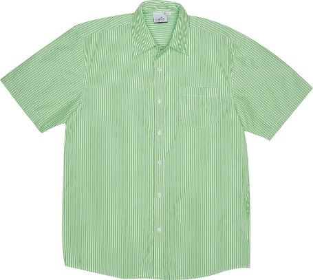 Camisa de manga curta com listras verde-claras e brancas sobre fundo branco.