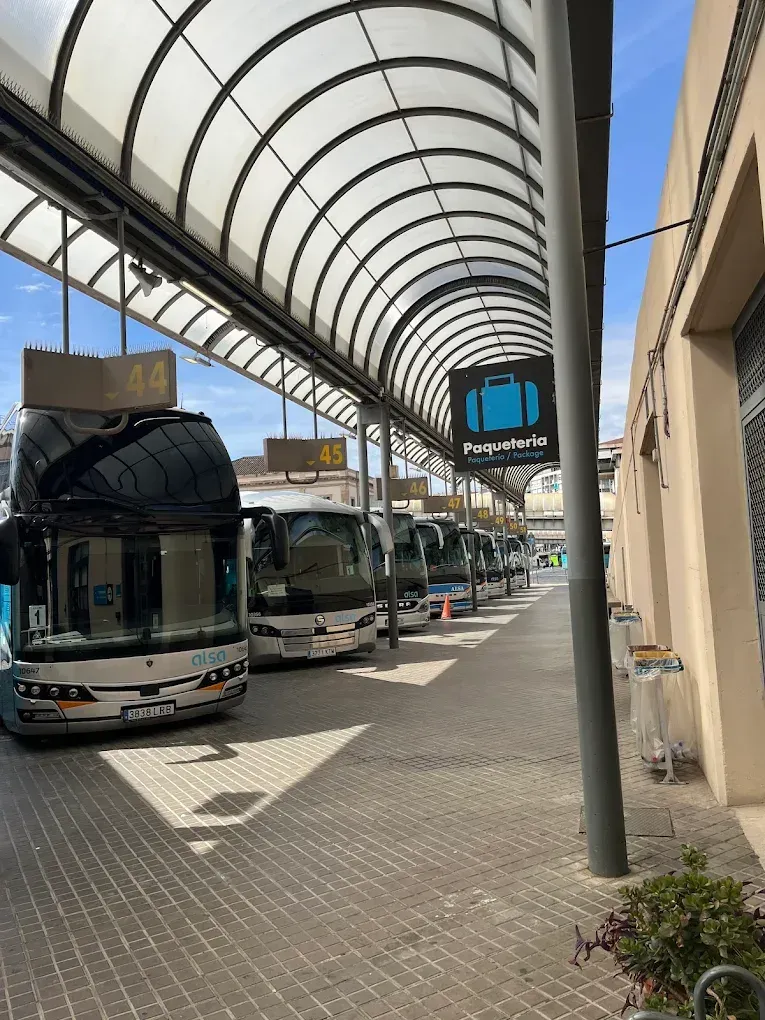 Fila de autobuses blancos bajo una marquesina curva en una estación de autobuses.