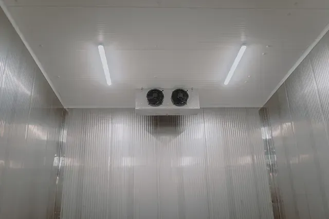 Una habitación con dos ventiladores en el techo y dos luces en las paredes.