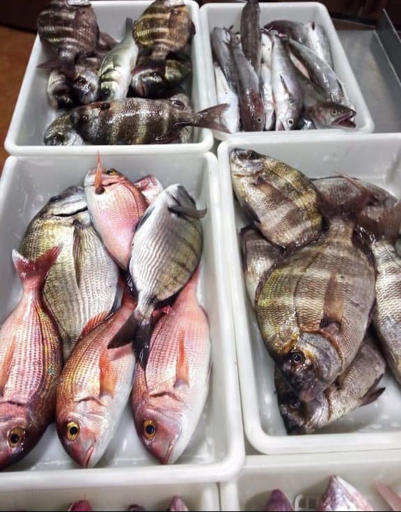 Muchos tipos diferentes de pescado se encuentran en contenedores blancos.