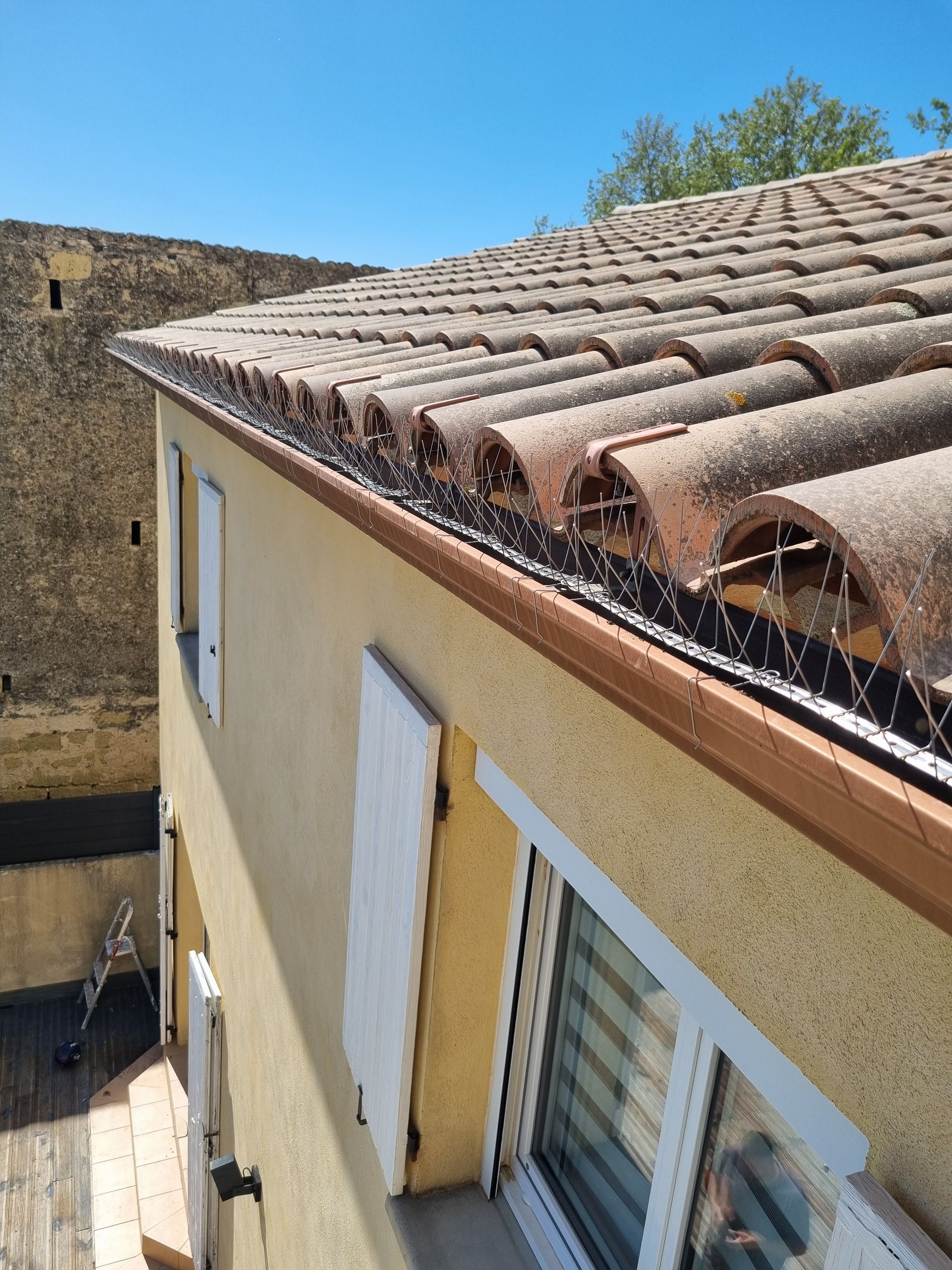 Gouttière avec dispositif contre les pigeons