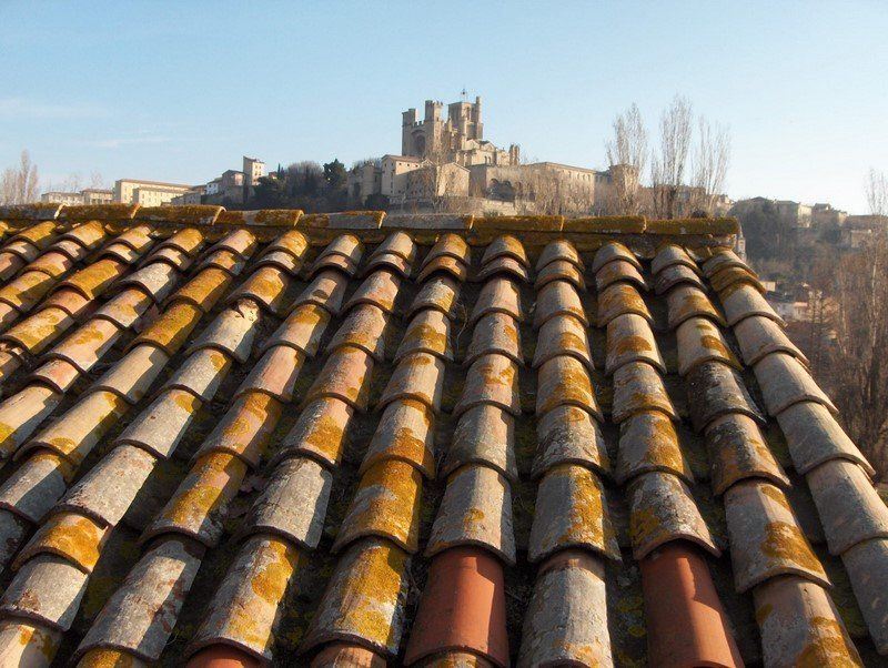 Démoussage et nettoyage total toiture