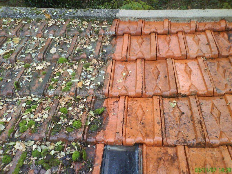 Démoussage complet de votre toit