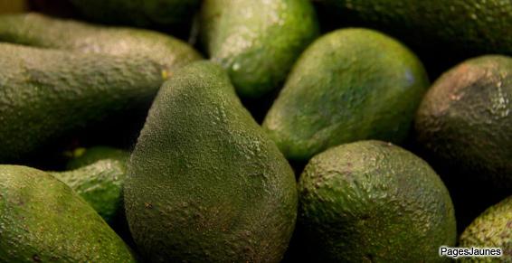 Maraîchers - Production d'avocats