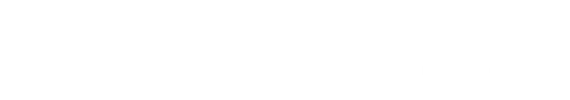 Logo Co-Brand Hirslanden - Gastrocentro Lugano