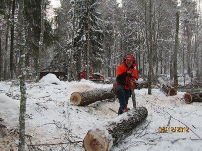 Kutajoen Metsärengit Ky - kuvia
