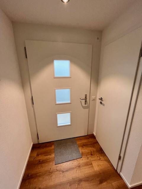 Ein Eingangsbereich mit weisser Tür mit drei quadratischen Milchglasscheiben, einer grauen Fussmatte und Holzbodenoptik.