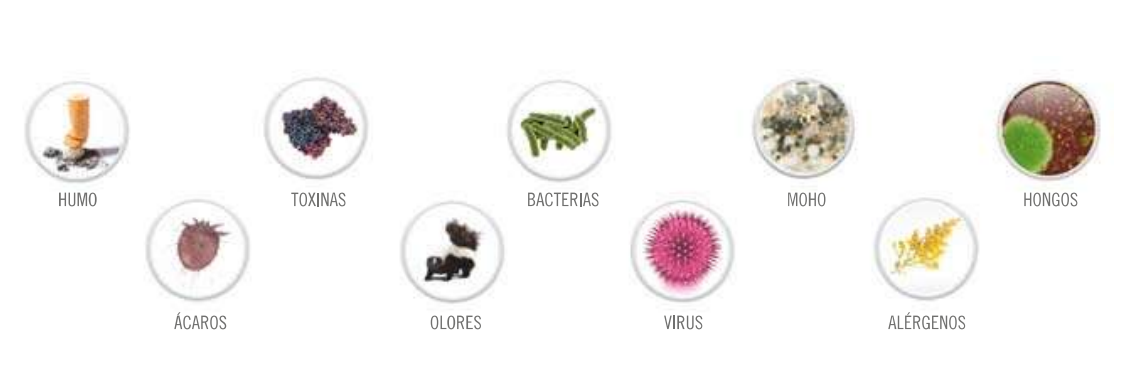 Diez pequeños iconos circulares, cada uno con un objeto diferente en su interior: cigarrillo, bayas, hojas, hongo y coco.