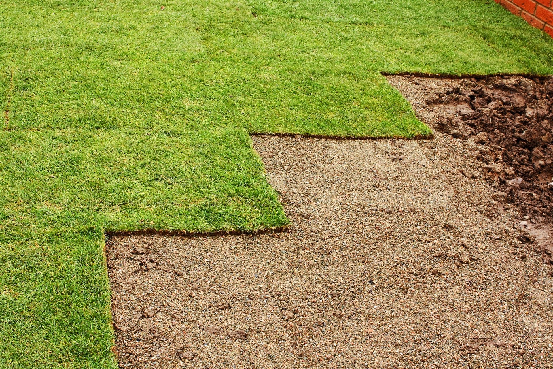 Engazonnement de jardin