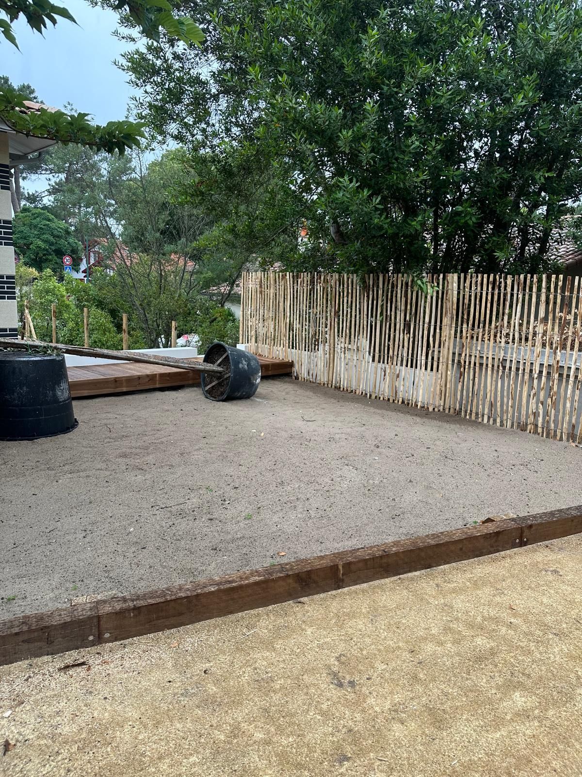 Grand arbre dans un pot pour un aménagement paysager 