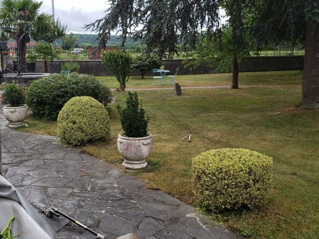 Arbustes taillés dans un jardin