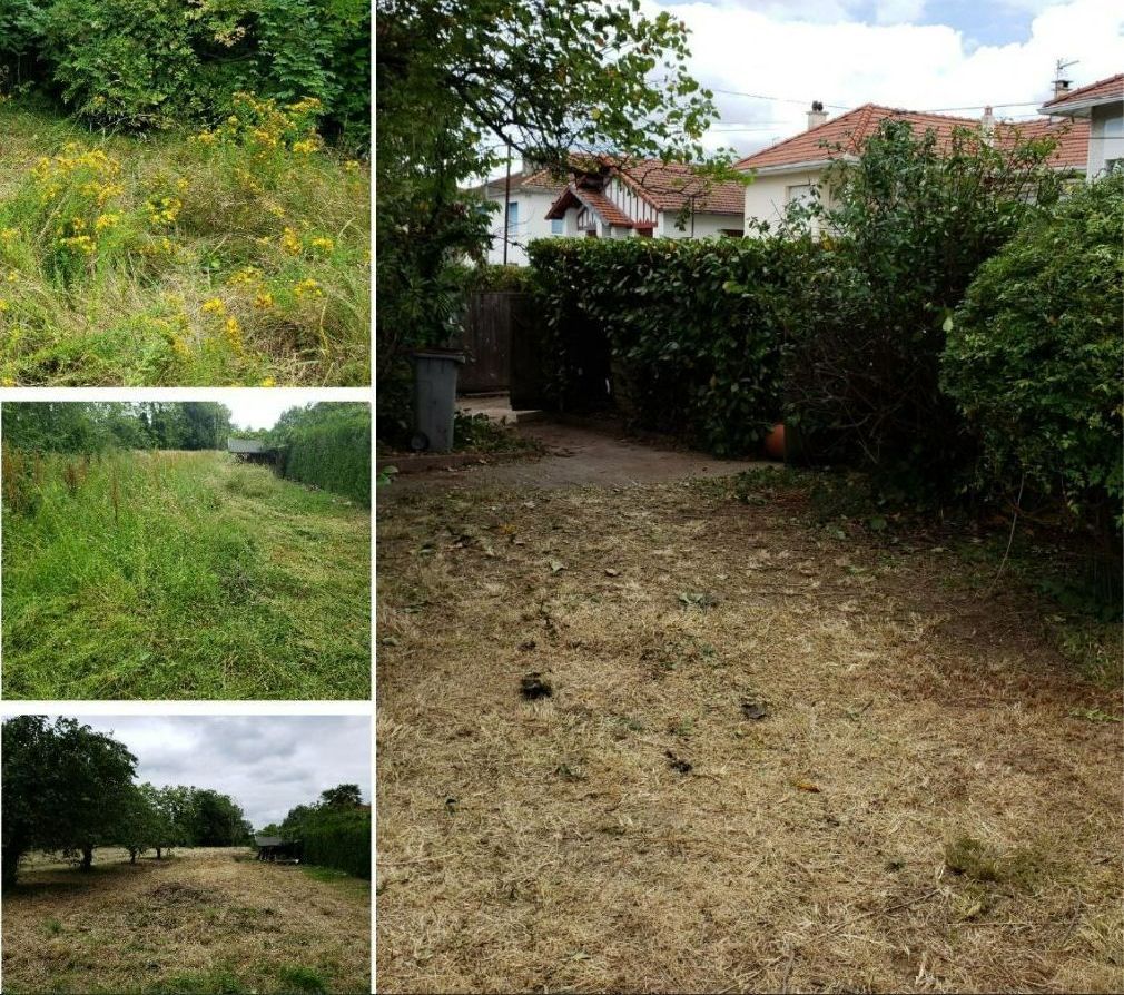Mosaïque de photos présentant les étapes du débroussaillage