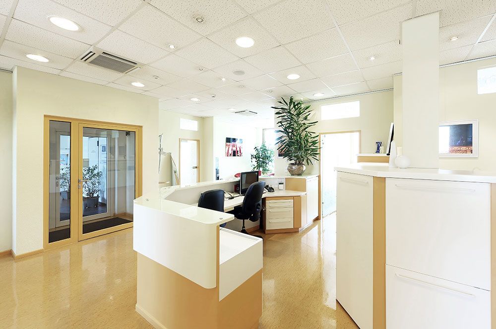 Moderner, heller Büroempfangsbereich mit geschwungenem weißen Schreibtisch, hellbraunen Böden und großer Pflanze.