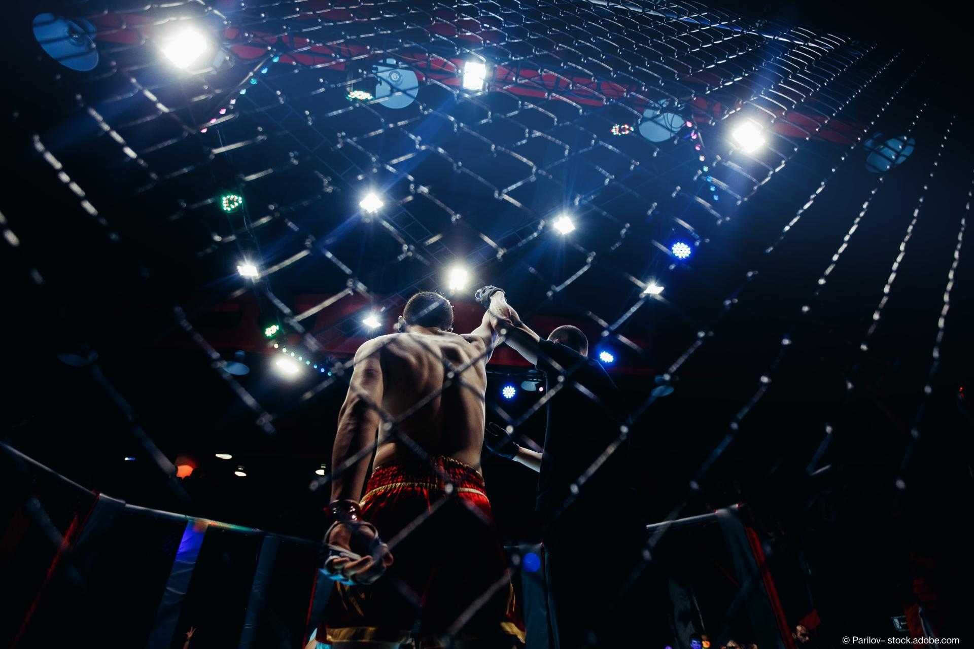 Ein MMA-Kämpfer steht im Ring