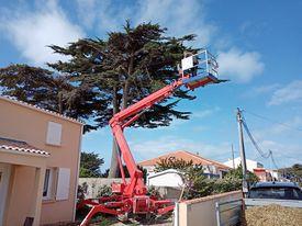 Travaux d'élagage et abattage