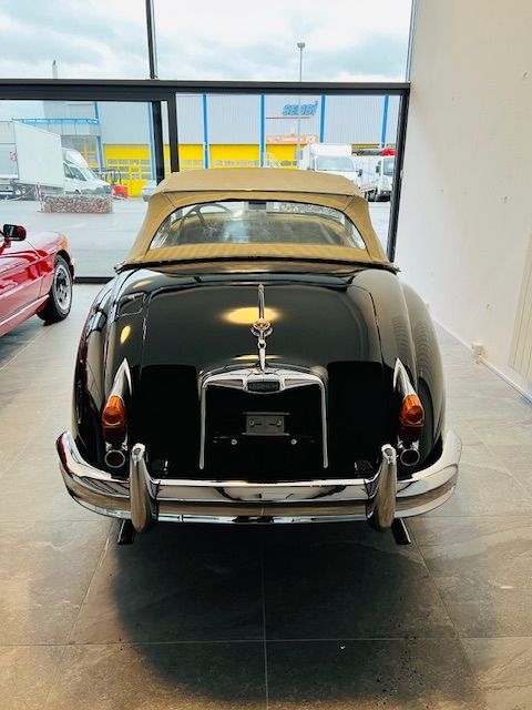 Jaguar XK 150 
OTS Roasdster
vue pare-choc arrière