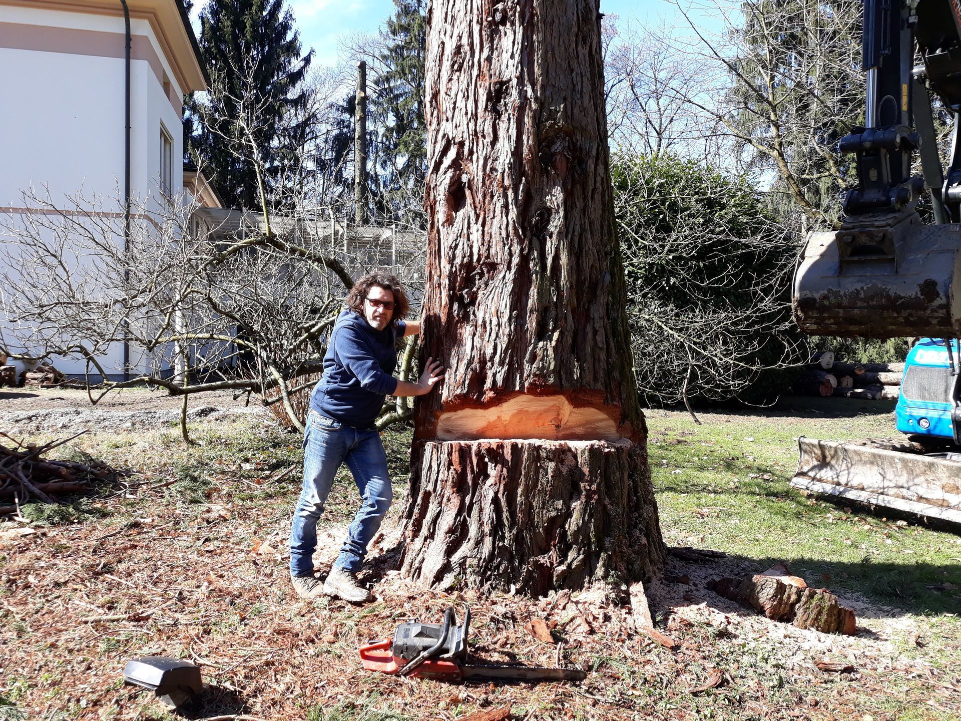 Un uomo taglia un prato verde brillante con un tosaerba a spinta vicino a un'altalena di legno in un cortile soleggiato.