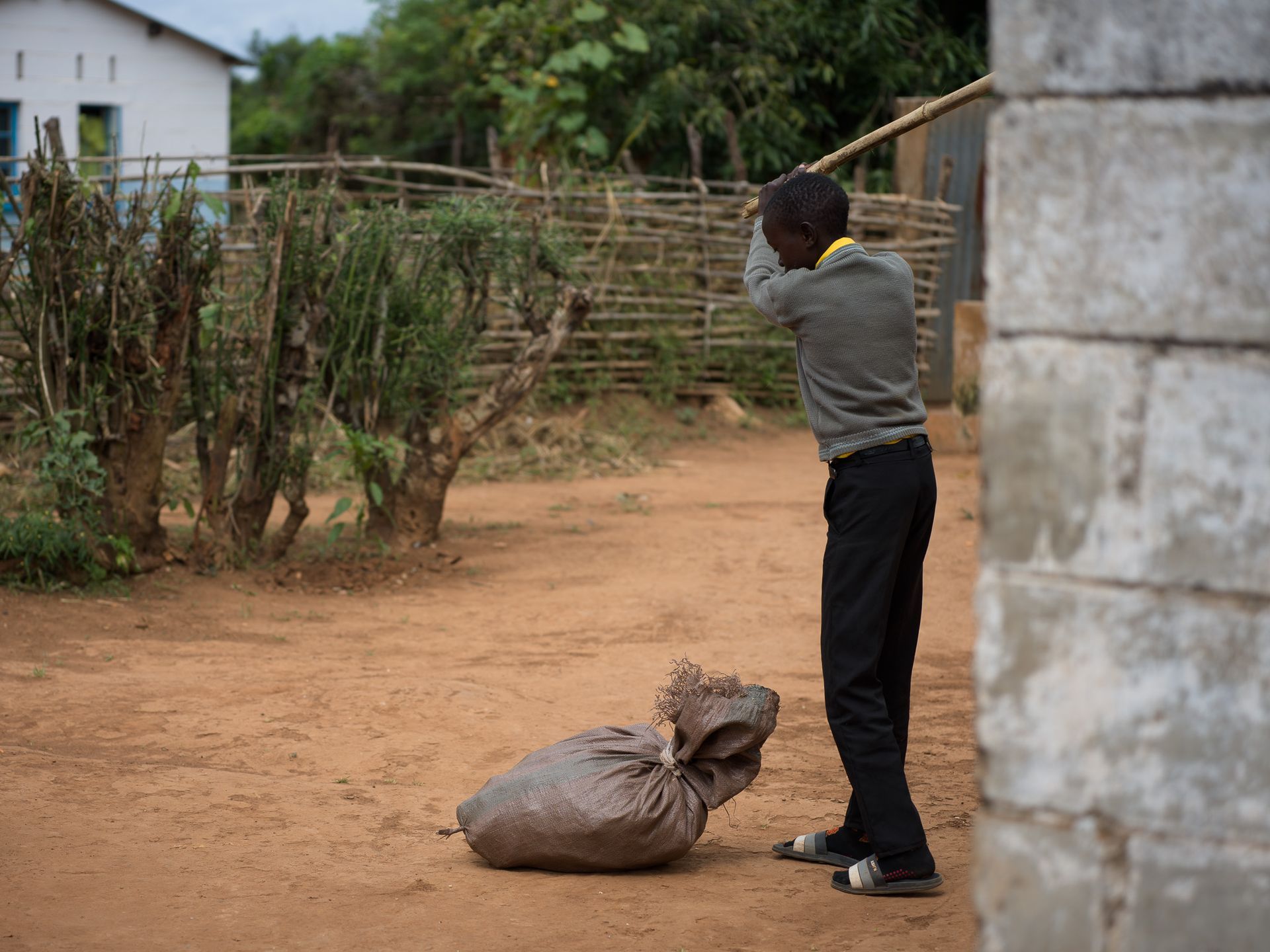 Un niño pequeño, con pantalones oscuros y un suéter gris, blandiendo un palo contra un saco en el suelo de tierra.