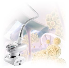 Ganzkörper Endermologie-Behandlung bei einer Frau