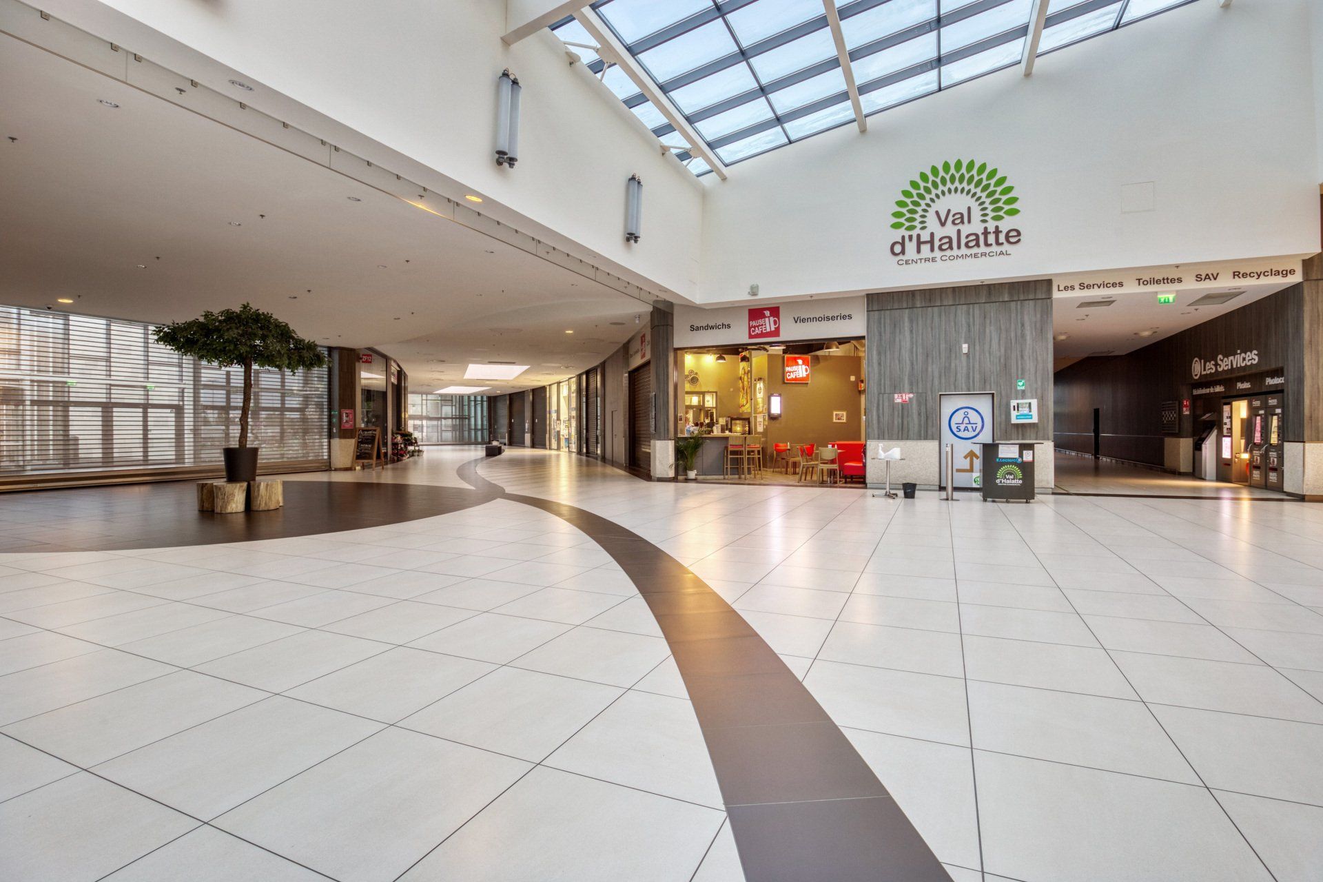 Design bi-color au sol