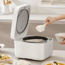 XIAOMI SMART MULTIFUNCTIONAL RICE COOKER