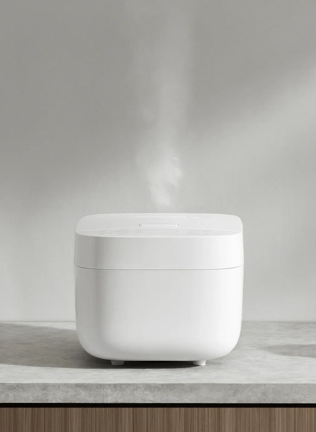XIAOMI SMART MULTIFUNCTIONAL RICE COOKER
