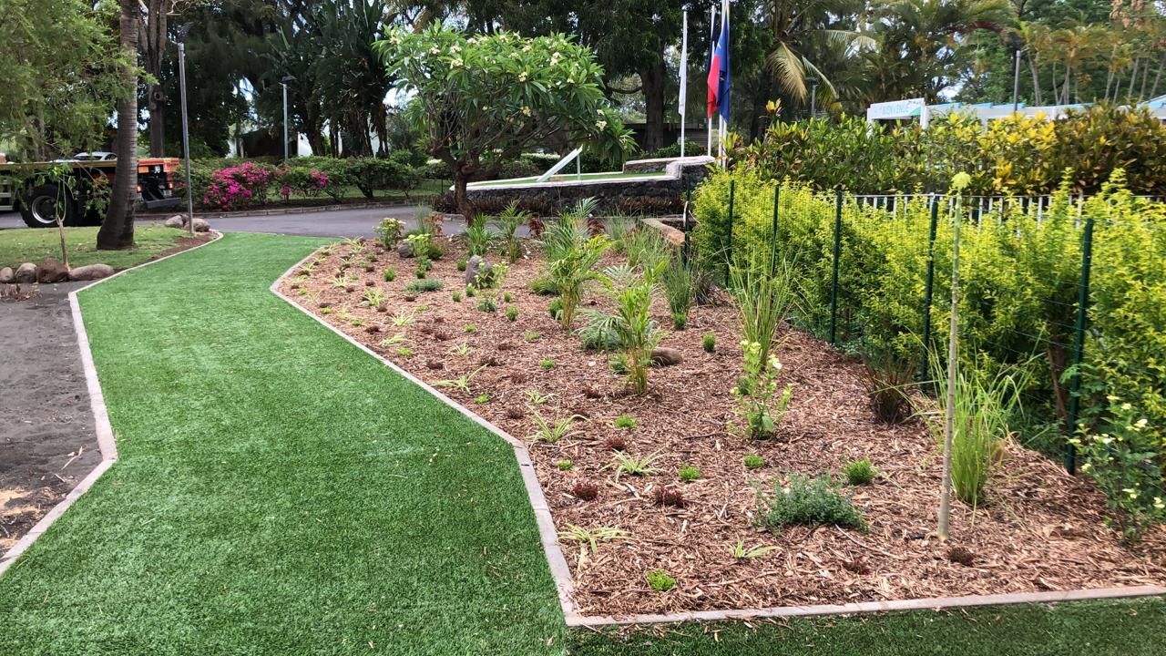 Allée sinueuse en gazon vert longeant un parterre de jardin paillé avec de jeunes arbustes dans un parc