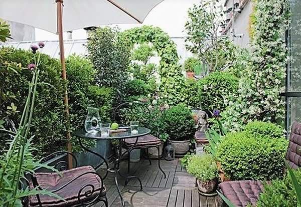 Terrasse élégante avec végétaux