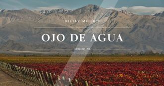 Simple Restaurant in Wallisellen