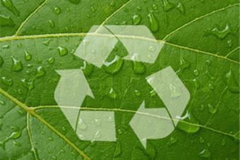 Una hoja verde con gotas de agua y un símbolo de reciclaje.