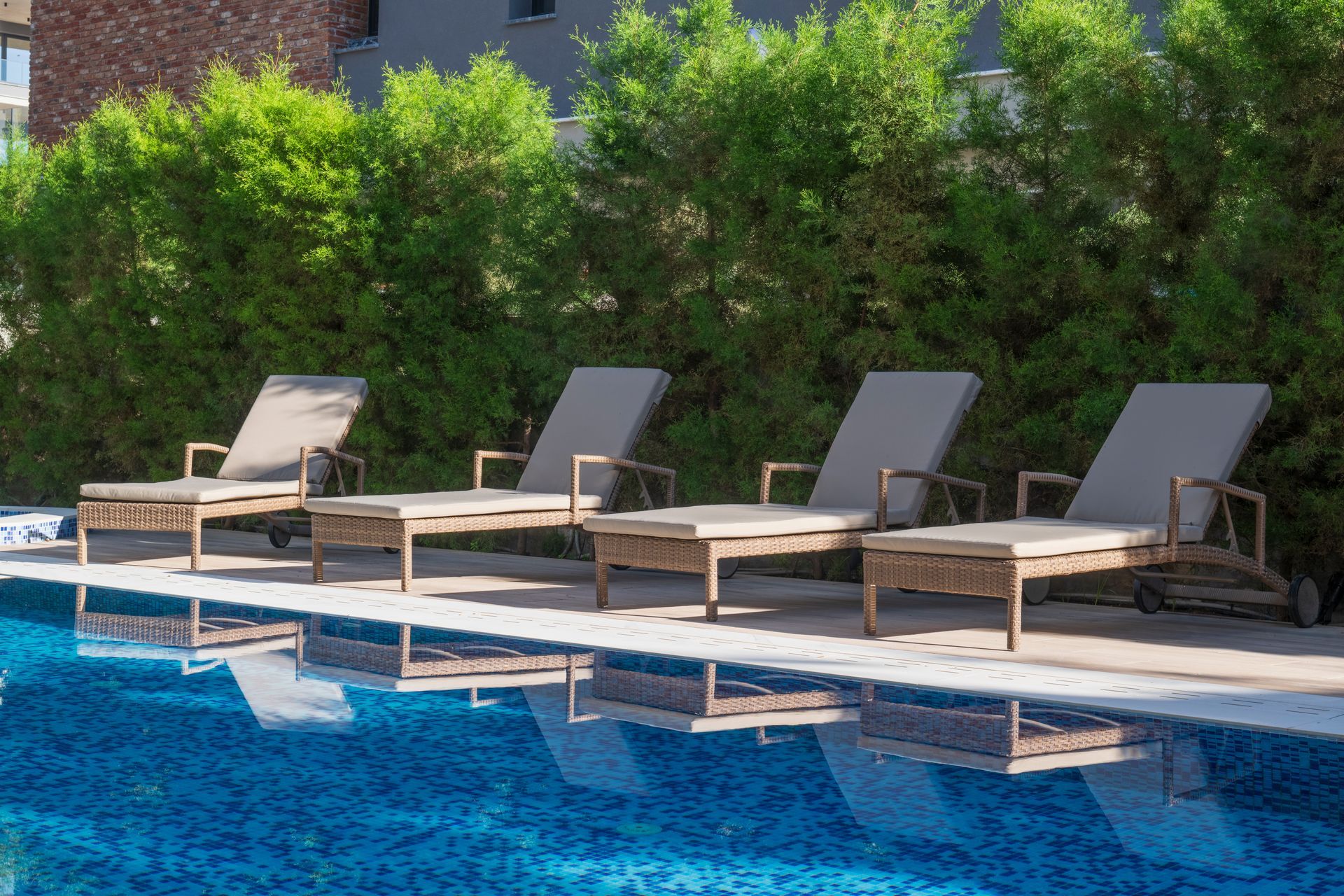 Four lounge chairs by a blue-tiled pool, with a green hedge in the background.