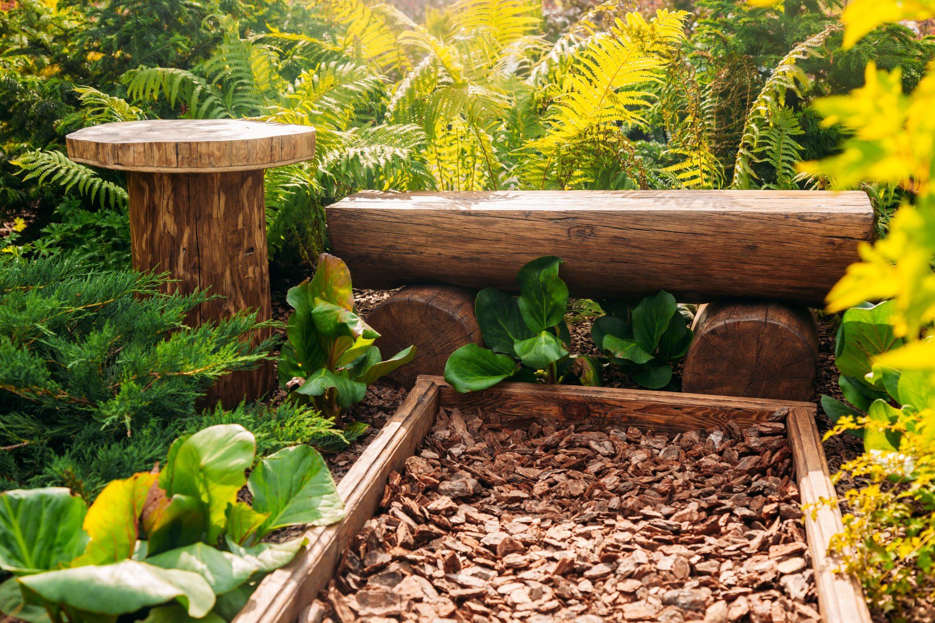 Aménagement avec fougère