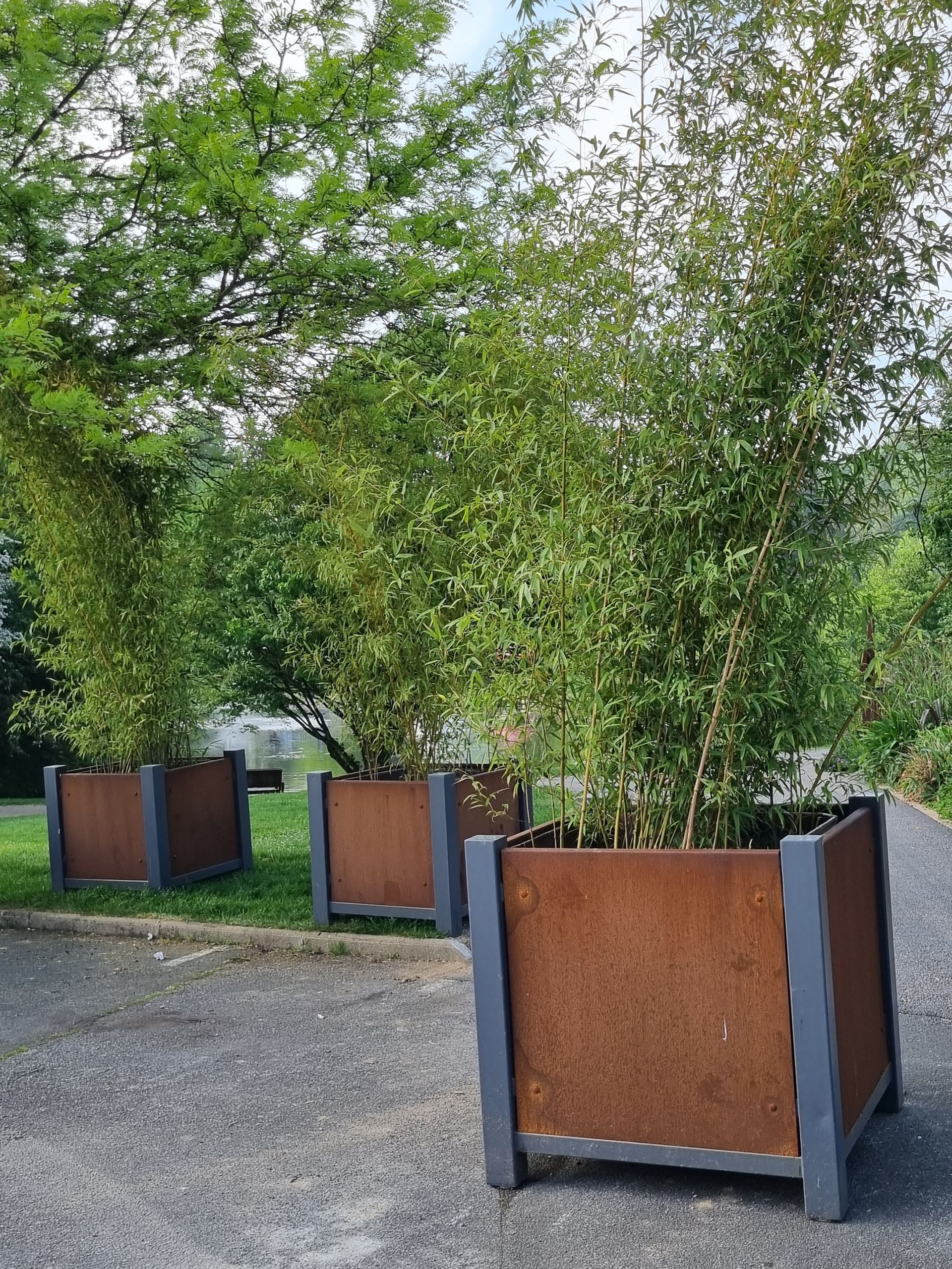 Bac de plantes en acier