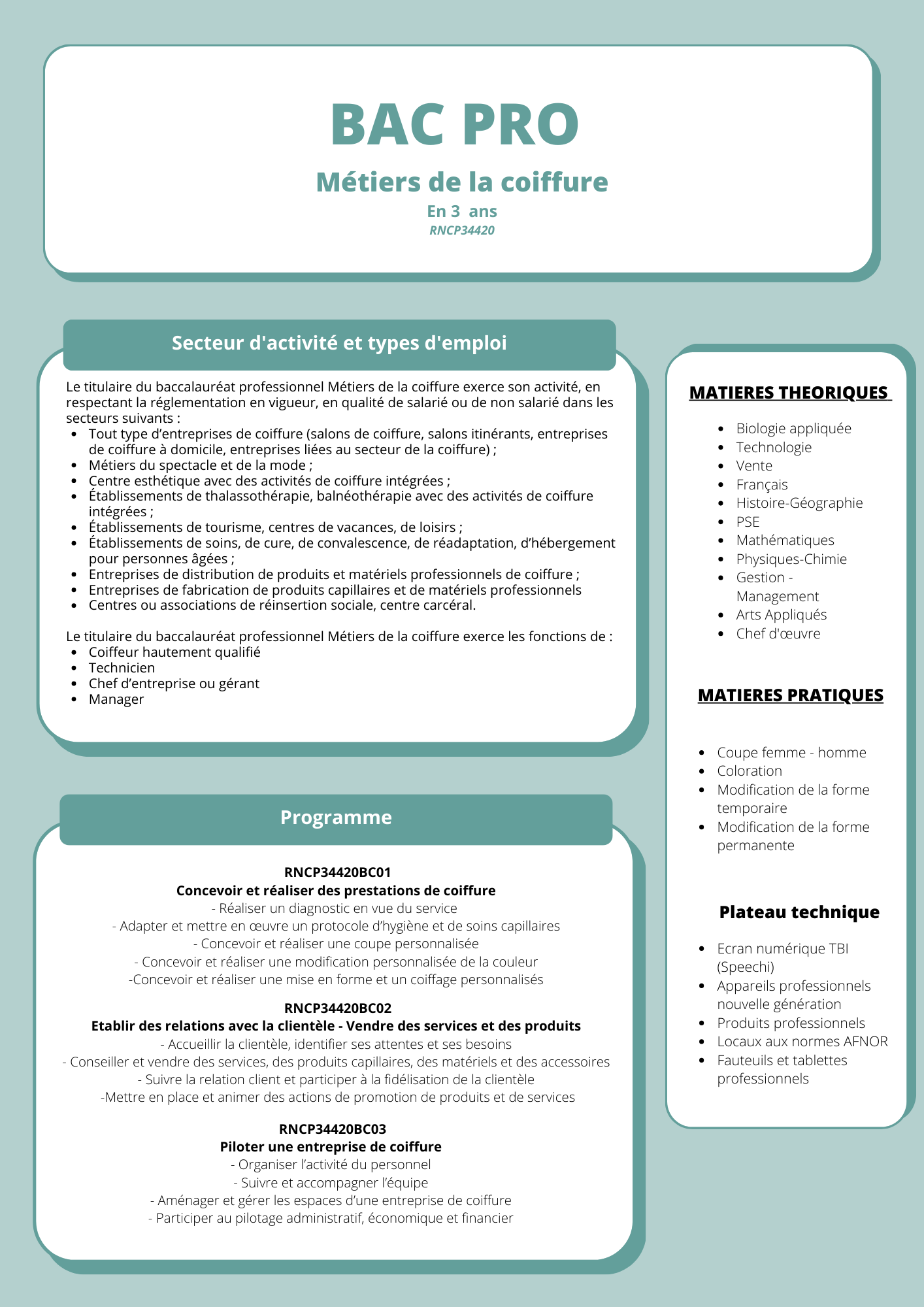 Affiche BAC PRO  Métiers de la culture 