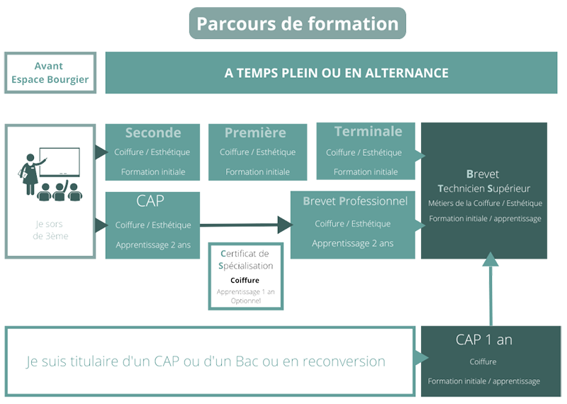 Schéma vert du parcours de formation, de l’ULIS au bac pro, avec filières CAP, bac et BTS.