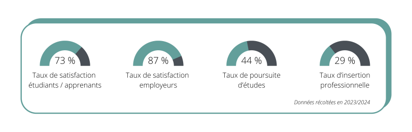 Infographie à bordure verte présentant quatre statistiques en pourcentage pour la France et des icônes relatives aux tâches de déclaration fiscale.